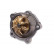Water Pump, Thumbnail 2