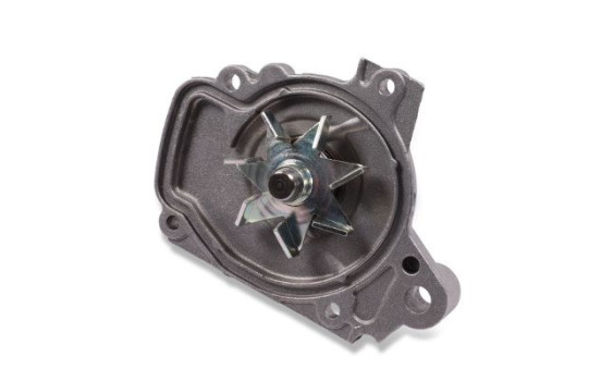 Water Pump, Image 2