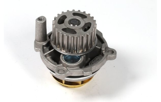 Water Pump, Image 2