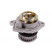 Water Pump, Thumbnail 2