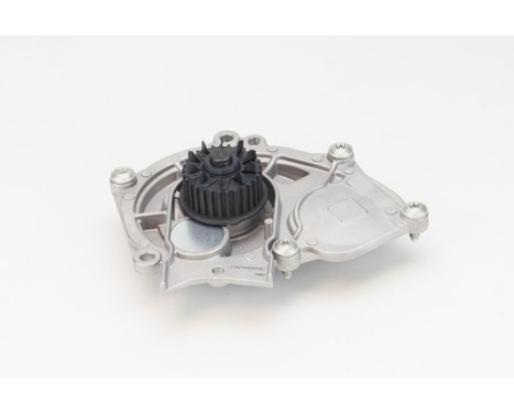 Water Pump, Image 2