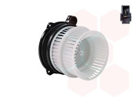 INDOOR FAN 8296773 International Radiators