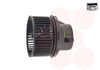 Interior Blower