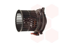 Interior Blower