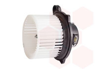 Interior Blower