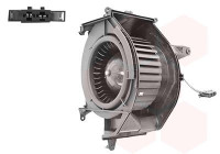 Interior Blower