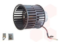 Interior Blower
