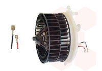Interior Blower