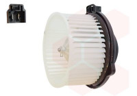 Interior Blower