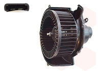 Interior Blower