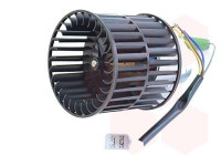 Interior Blower