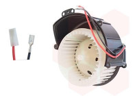 Interior Blower