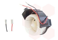 Interior Blower