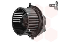 Interior Blower