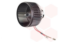 Interior Blower