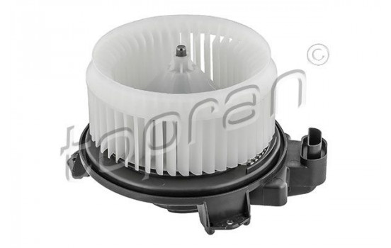 Interior Blower