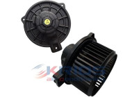 Interior Blower