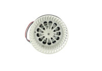Interior Blower