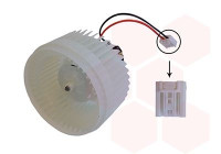 Interior Blower