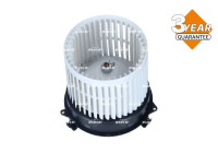 Interior Blower
