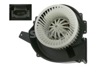 Interior fan