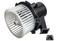 Interior fan