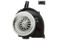 Interior fan