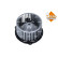 Interior ventilation