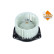 Interior ventilation