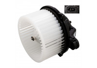 stove fan