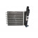 Heat Exchanger, interior heating