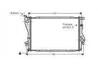 Radiator, engine cooling 06002202 International Radiators