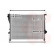 Radiator, engine cooling 06002222 International Radiators, Thumbnail 2