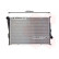 Radiator, engine cooling 06002335 International Radiators, Thumbnail 2
