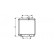 Radiator, engine cooling 11002057 International Radiators