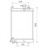 Radiator, engine cooling 11002071 International Radiators