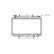 Radiator, engine cooling 13002206 International Radiators