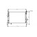 Radiator, engine cooling 18002404 International Radiators
