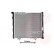 Radiator, engine cooling 30002126 International Radiators, Thumbnail 2