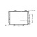 Radiator, engine cooling 30002305 International Radiators