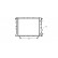 Radiator, engine cooling 43002054 International Radiators