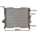 Radiator, engine cooling 43002167 International Radiators, Thumbnail 3