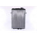 Radiator, engine cooling 65081 Nissens, Thumbnail 2