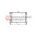 Radiator, engine cooling 73002018 International Radiators, Thumbnail 2