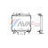 Radiator, engine cooling 82002115 International Radiators, Thumbnail 2