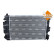 Radiator, engine cooling EASY FIT, Thumbnail 5
