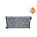 Radiator, engine cooling Economy Class, Thumbnail 5