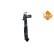 Radiator, engine cooling Economy Class, Thumbnail 6