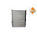 Radiator, engine cooling Economy Class, Thumbnail 4