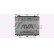 Radiator, engine cooling FD2664 Ava Quality Cooling, Thumbnail 2